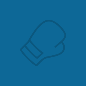 boxing glove icon